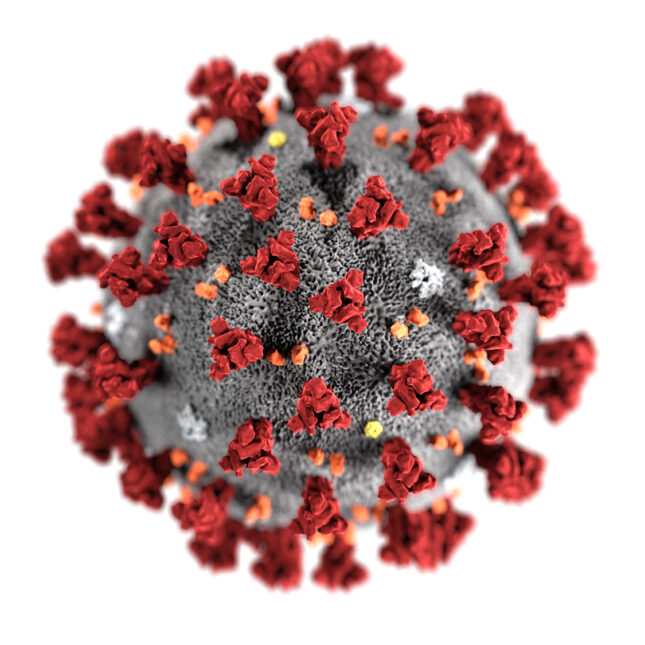 Minh họa virus Corona nCoV