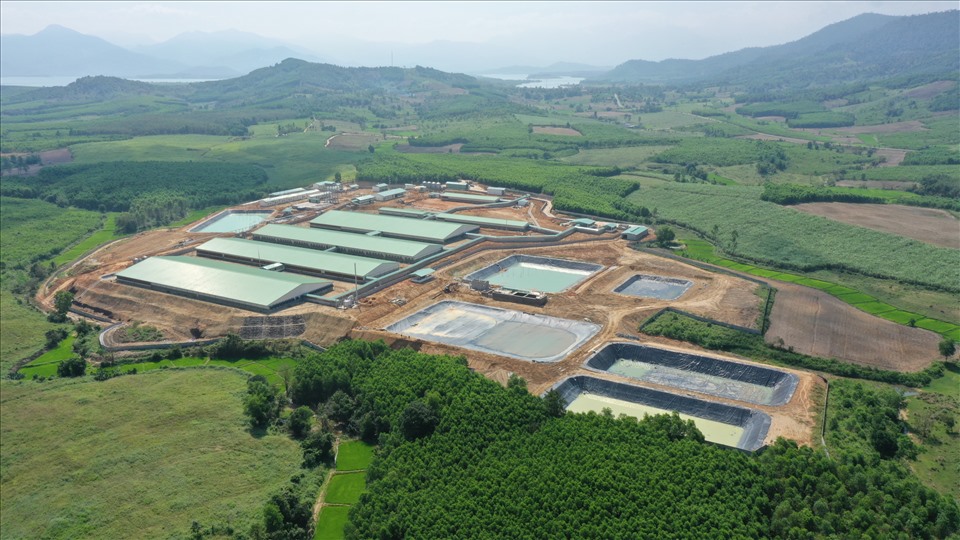 Sử dụng chất cấm trong chăn nuôi bị phạt đến 100 triệu đồng: Những điểm mới cực kỳ nghiêm khắc từ Nghị định 211/2026/NĐ-CP bạn nhất định phải biết!
