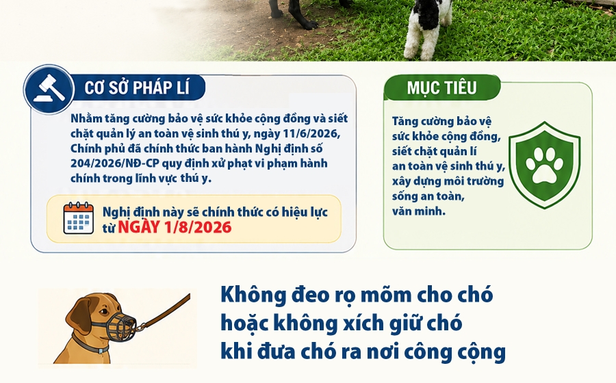 Dắt chó ra đường không đeo rọ mõm bị phạt tới 2 triệu đồng từ tháng 8/2026?
