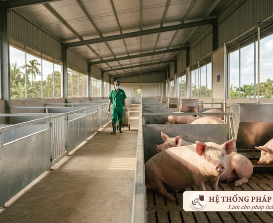 Diễn biến dịch COVID-19 trưa 16/6: Bắc Giang và TP.HCM tiếp tục là tâm điểm với hàng trăm ca mắc mới