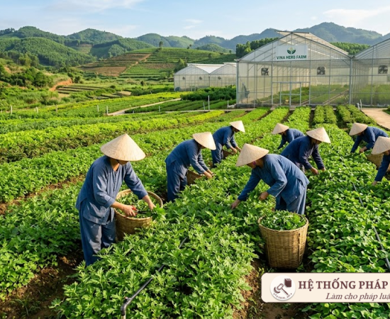 Hộ kinh doanh cần lưu ý gì về thuế từ 01/8/2021? 7 thay đổi quan trọng không thể bỏ qua