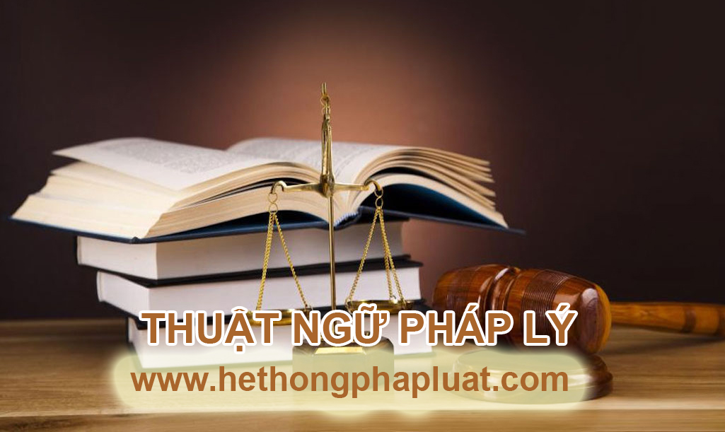 Giới là gì? Giải thích thuật ngữ giới
